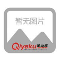 會議禮品 企事業(yè)單位禮品贈送錄音手表(圖)